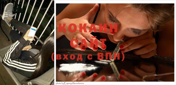 ПСИЛОЦИБИНОВЫЕ ГРИБЫ Аркадак