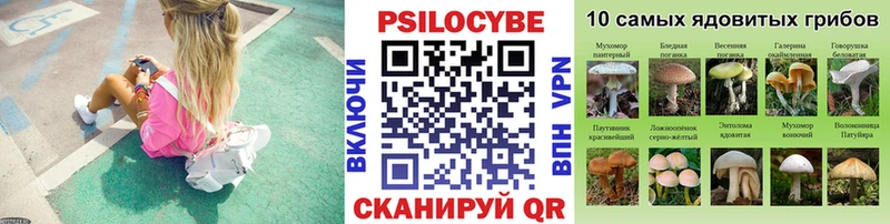 где купить наркоту Можга Псилоцибиновые грибы Psilocybe